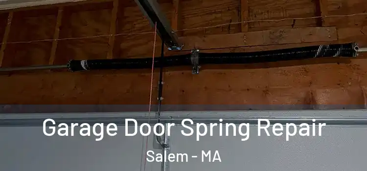  Garage Door Spring Repair Salem - MA